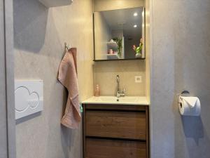安迪克Hotelhuisjes Andijk的一间带水槽和镜子的浴室