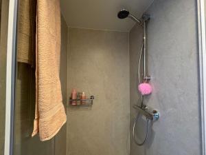安迪克Hotelhuisjes Andijk的玻璃门淋浴,带粉红色海绵