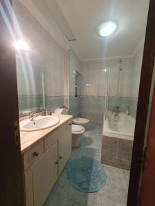 Casal de Loivos卡萨达东堤酒店的一间带水槽、卫生间和淋浴的浴室