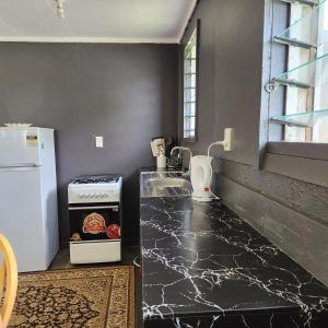 ‘OhonuaEua Accommodation的厨房配有带水槽的柜台和冰箱。