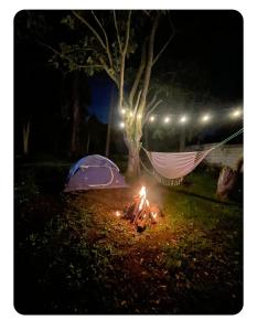 基多Quinta Suria的 ⁇ 火,晚上带帐篷和吊床