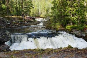 Ljørdalen12-Nasjonalpark, sykling, fisking, kanopadling, skogs- og fjellturer的森林中间的瀑布