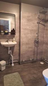 HammarstrandHammarstrand B&B och lägenhet的浴室配有盥洗盆和带镜子的淋浴