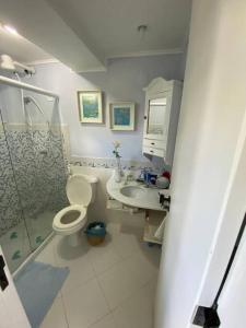 伊塔帕里卡岛维拉克鲁兹Flat aconchegante à beira-mar的浴室配有卫生间、盥洗盆和淋浴。
