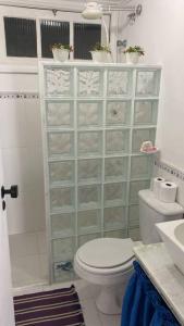伊塔帕里卡岛维拉克鲁兹Flat aconchegante à beira-mar的浴室配有卫生间、淋浴和盥洗盆。