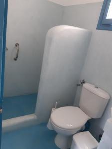 斯科拉Delfini Hotel的浴室配有白色卫生间和淋浴。