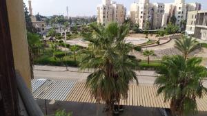伊斯梅利亚Elnoras city ismailia的享有棕榈树和建筑街道的景色