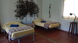 圣玛丽亚港El amanecer的一间有三张床的房间,墙上有植物