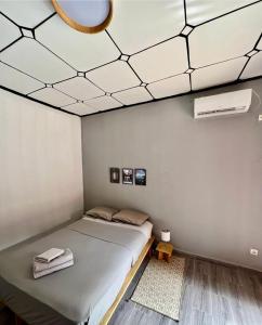 科纳克里Tokyo to Conakry *NONGO*的一间卧室设有一张床,天花板上设有镜子