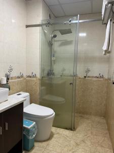 萨帕Sunshineview Sapa Hotel的带淋浴、卫生间和盥洗盆的浴室