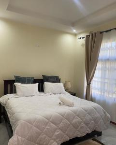 卢萨卡Kumwitu Luxury Apartments的卧室配有一张大白色床和窗户