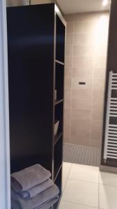 B&B Soissons L'Arthome chambres d'hôtes的浴室配有带毛巾的步入式淋浴间。