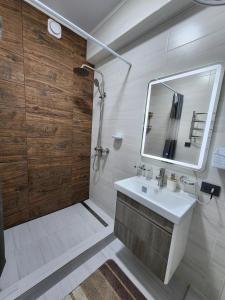 奥什Diamond Apartment的浴室配有盥洗盆和带镜子的淋浴