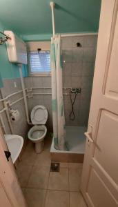 克拉列沃Domaćinstvo Jolović的一间带卫生间和淋浴的小浴室