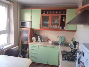 里加Lovely apartment in Riga city的厨房配有绿色橱柜和水槽