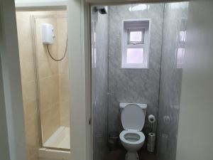 布莱克浦Mermaid Holiday Flats的一间带卫生间和淋浴的小浴室