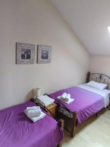 索科矿泉村Apartmani Bon Bons的紫色床单的客房内的两张床