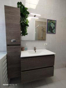 维琴察Appartamento Fiera Vicenza的一间带水槽和镜子的浴室