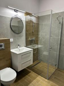 杜什尼基-兹德鲁伊Villa Sudecka的带淋浴、盥洗盆和卫生间的浴室
