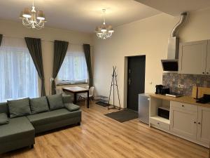杜什尼基-兹德鲁伊Villa Sudecka的客厅配有沙发和桌子