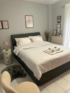 亚历山德鲁波利斯Hermes Modern Apartment的卧室配有一张床,地板上放着一只狗