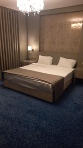 伊斯坦布尔Acar Suite Hotel的一间卧室,卧室内配有一张大床