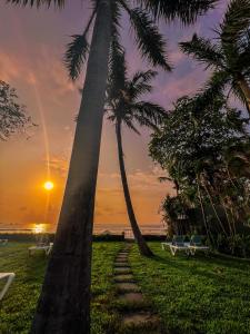 塔马林多Hotel Perla de la Playa的一条棕榈树小径,在背后日落