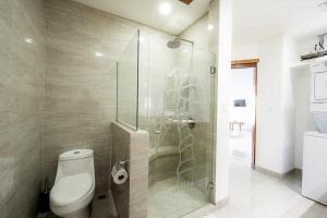 Naranjos AgriosLake Arenal Condos的一间带卫生间和玻璃淋浴间的浴室