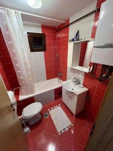 萨拉热窝SA Apartment的红色的浴室设有卫生间和水槽