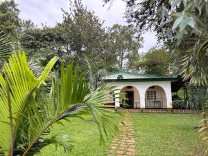 MuhaziMuhazi View Resort的一座白色的小房子,设有绿色屋顶