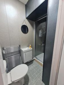 EstonCozy 6 Bedroom HMO的一间带卫生间和淋浴的小浴室