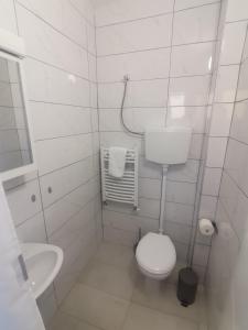 Brzi BrodV&U Sobe的白色的浴室设有卫生间和水槽。