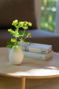 费尔达芬格Rückzugsort mitten im Paradies的花瓶,桌子上花,有两本书