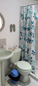 萨玛拉Alta Vibra Appartement的一间带卫生间和淋浴帘的浴室