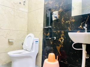 蒂鲁帕蒂Deccan Suites, Tirupati的一间带卫生间和水槽的浴室