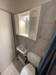 舍纳贝克willana的一间带卫生间、水槽和镜子的浴室