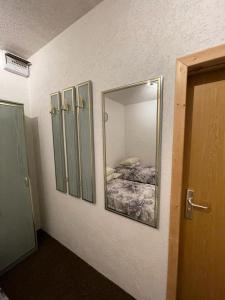 舍纳贝克willana的一间设有镜子和一张床的房间