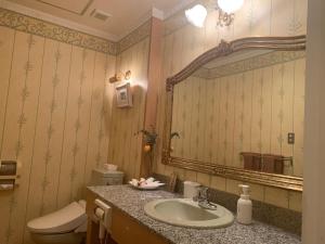 Shōmachiホテル　サンタモニカ(大人専用)的一间带水槽、卫生间和镜子的浴室