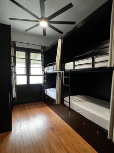 希洛Howzit Hostels Hawaii的客房设有两张双层床和吊扇。