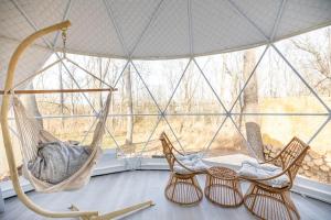 利斯堡Dream Dome Getaway near Leesburg的带大窗户的客房内的两张吊床