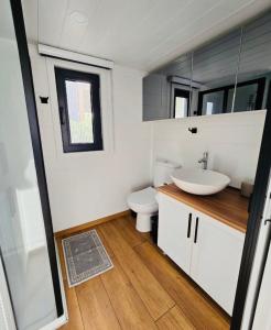 亚力卡瓦克Tiny House Yalikavak Natural Garden的一间带卫生间和水槽的浴室