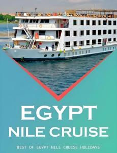 阿斯旺EGYPT NILE CRUISE BSH Every Saturday from Luxor 4 nights & every Wednesday from Aswan 3 nights的一艘大型的白色游轮在水面上