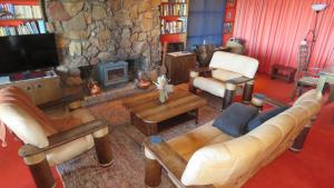 维多利亚山Moonya Lodge的带沙发和石制壁炉的客厅