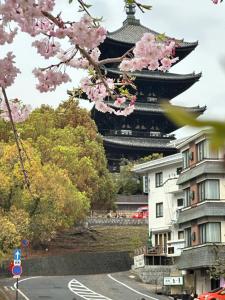 奈良Ryokan Kosen Kazeya Group的一座楼前有粉红的樱花树的远方宝塔