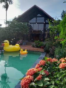 1989 Villa的花园游泳池里的两个橡胶鸭