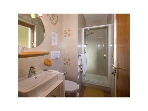 卡雷扎湖Columbine Modern Retreat的一间带水槽、卫生间和淋浴的浴室