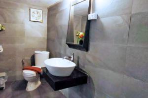万荣Vang Vieng Garden Villa的一间带水槽和卫生间的浴室