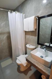 TaytayMonaco Hotel的一间带水槽、卫生间和镜子的浴室