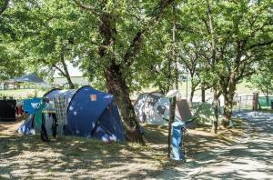 Monte del Lago塞克斯特拉乡村营地的公园里树下的一组帐篷