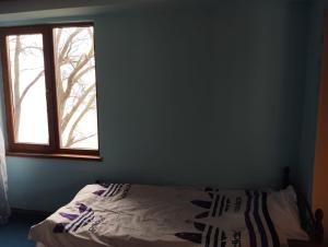 塞凡Севан 3 Ветерок的一间卧室设有一张床和一个窗口